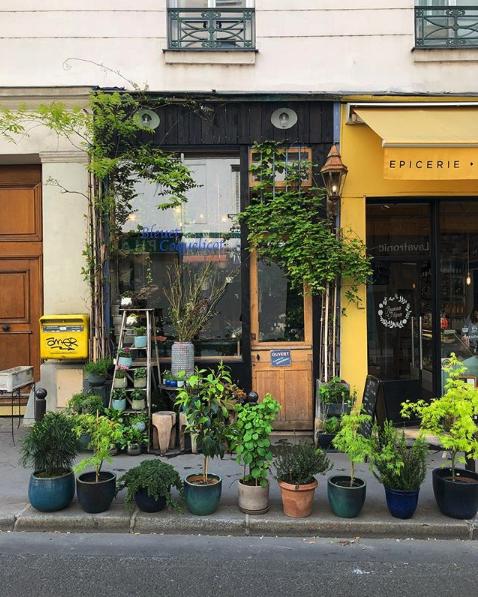 Fleuriste à Paris 